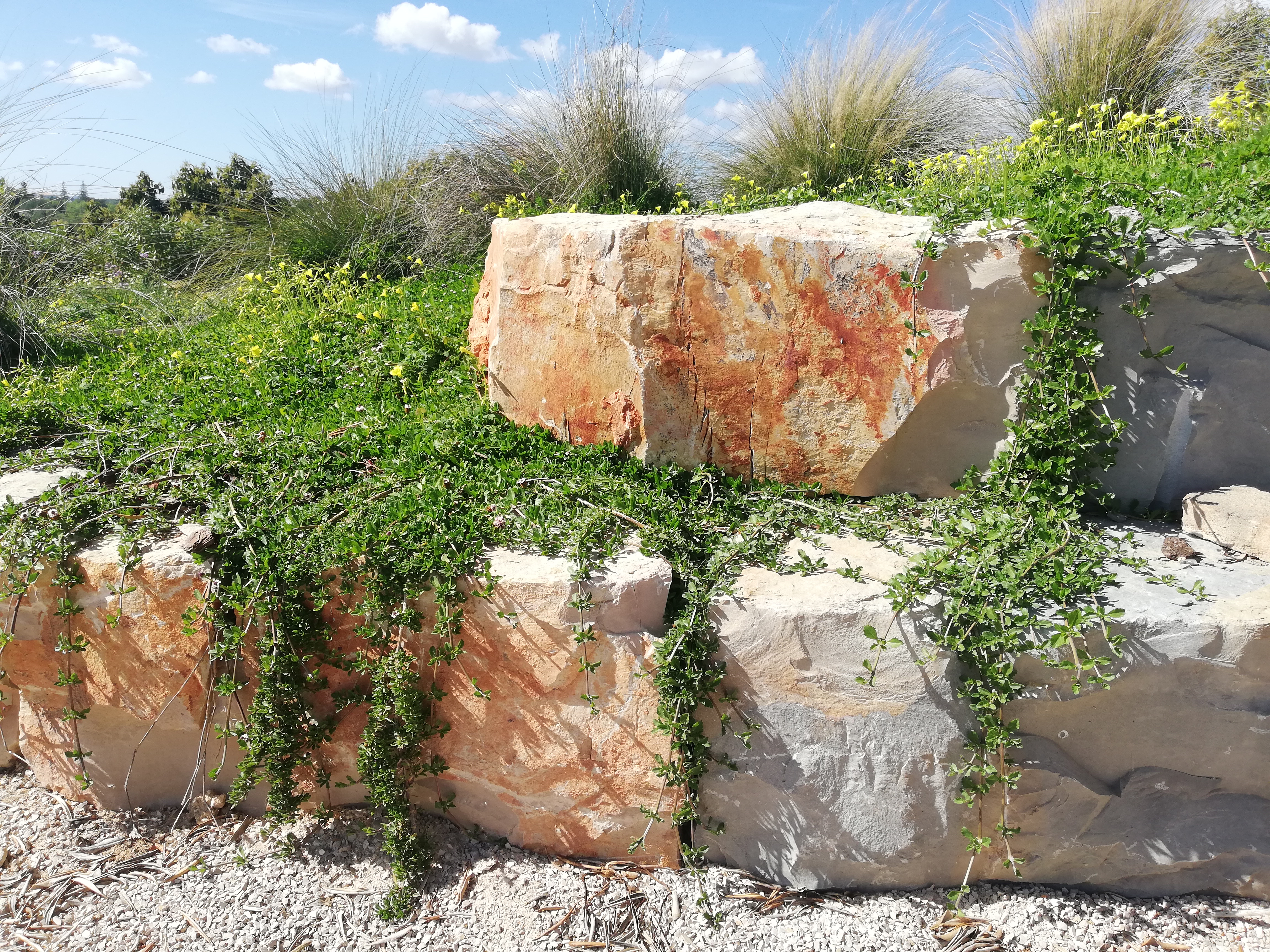 Quinta da Baleeira - Image 5